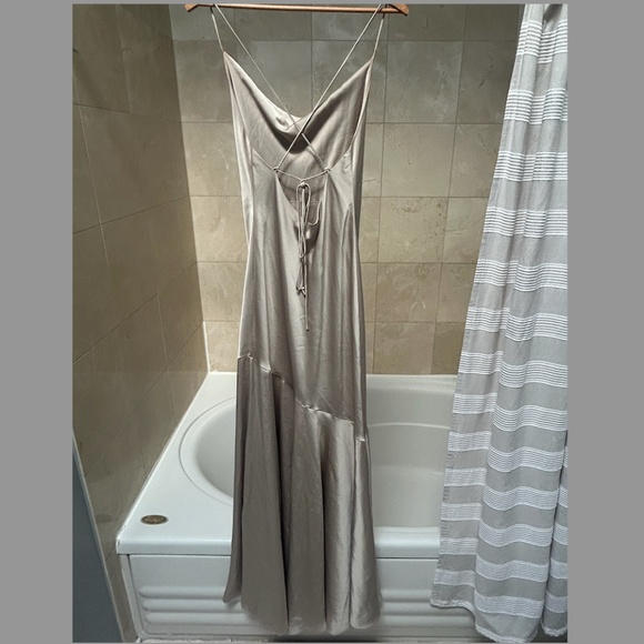 Birdy Grey Matte Satin Champagne Dress - Picture 5 of 5